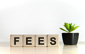 FEES - financial business concept. Wooden cubes and flower in a pot.