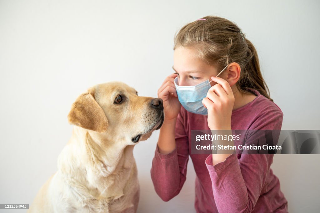 Girl Putting on a Medical Protective Mask near her labrador