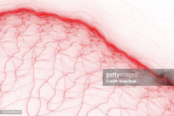 abstract line art - blood vessels - vaso sanguíneo fotografías e imágenes de stock