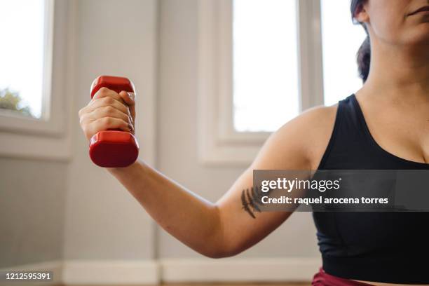 front view of the arm of a young athlete woman with a dumbbell - biceps stock pictures, royalty-free photos & images