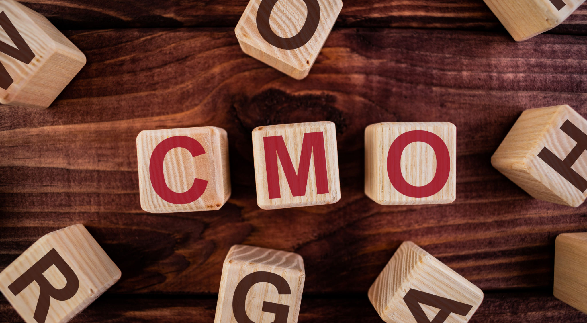 chief marketing officer
