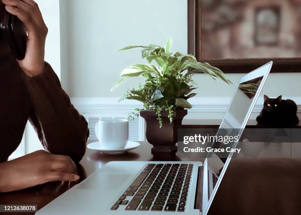 woman talks on smart phone while working on laptop - computer no face stock pictures, royalty-free photos & images