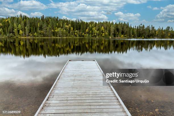 wooden pier on a lake - taiga imagens e fotografias de stock