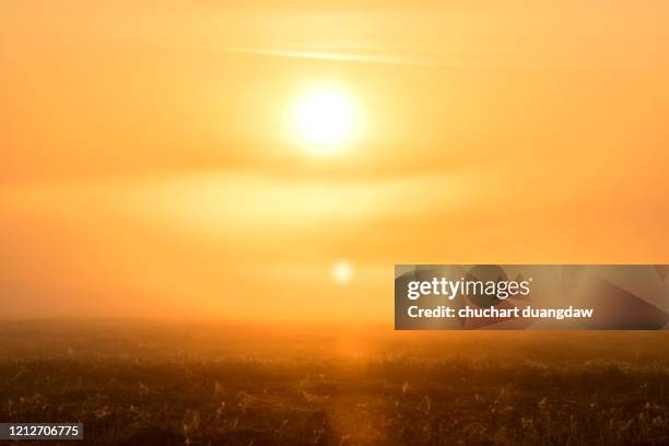 global warming, heat wave hot sun, climate change - heatwave stockfoto's en -beelden