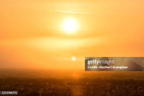 global warming, heat wave hot sun, climate change - heatwave 個照片及圖片檔