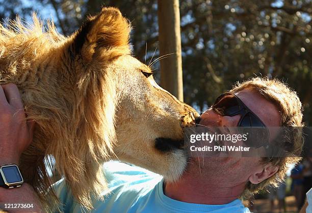 Adam Thomson of the All Blacks is licked by a Lion at the Seaview Lion Park on August 17, 2011 in Port Elizabeth, South Africa.