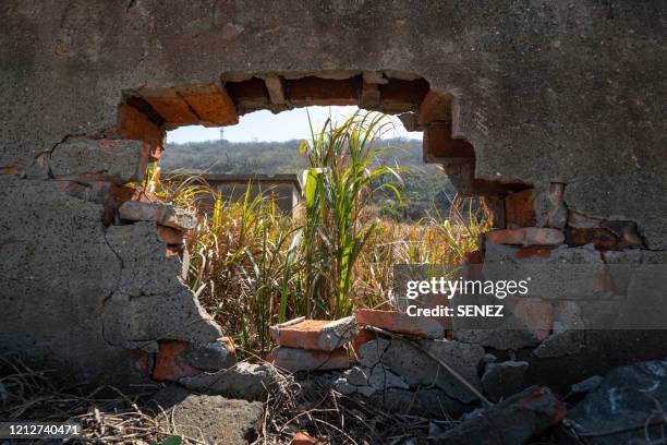 hole in the middle of a brick wall - trou photos et images de collection