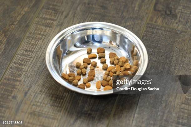 pet food bowl on floor - dog bowl fotografías e imágenes de stock