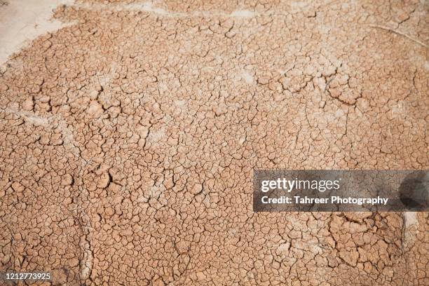 cracked dry ground with water scarcity - scarce imagens e fotografias de stock