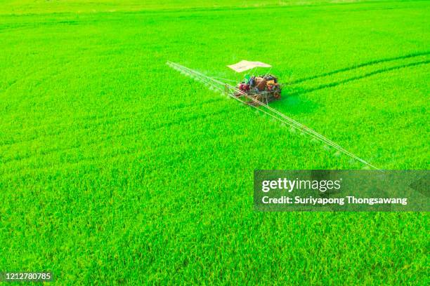 aerial view insecticide spraying machine on the rice field. - spraying weeds stock pictures, royalty-free photos & images