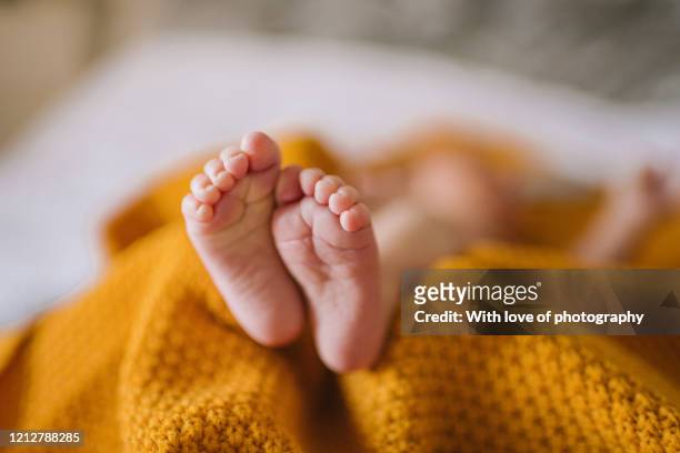 tiny newborn baby feet in a yellow blanket - pies fotografías e imágenes de stock