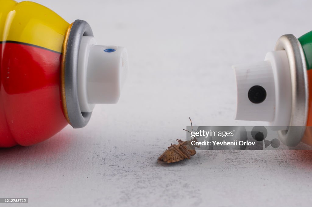 656 Insecticide Insect Poisoned By An Insecticide Insecticide Spray Cans High-Res Stock ...