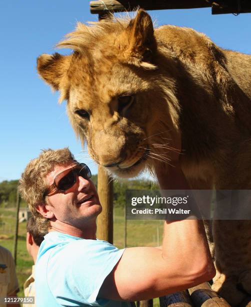 Adam Thomson of the New Zealand All Blacks strokes a Lion at the Seaview Lion Park on August 17, 2011 in Port Elizabeth, South Africa.