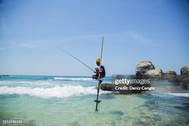 stilt fishermen in galle - stilts stock pictures, royalty-free photos & images