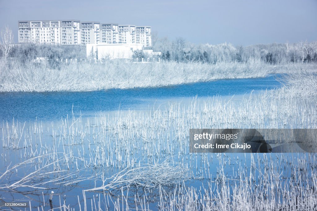 Winter apartments