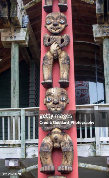 new zealand: arataki visitors centre - maori art stock pictures, royalty-free photos & images