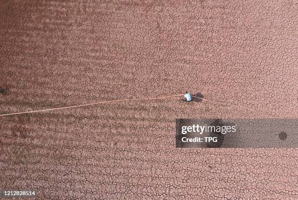 The farmers are pump irrigating the cracked field from river to fight drought on 12th May, 2020 in Neijiang,Sichuan,China.