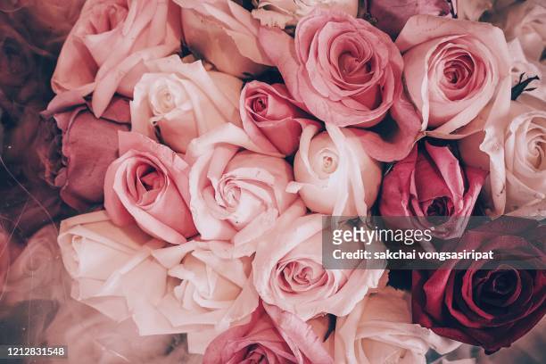 close-up of roses bouquet, germany, europe - wedding symbols stock pictures, royalty-free photos & images