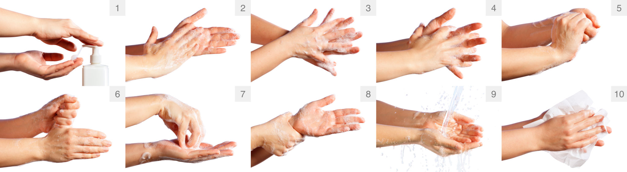 disinfection protocol