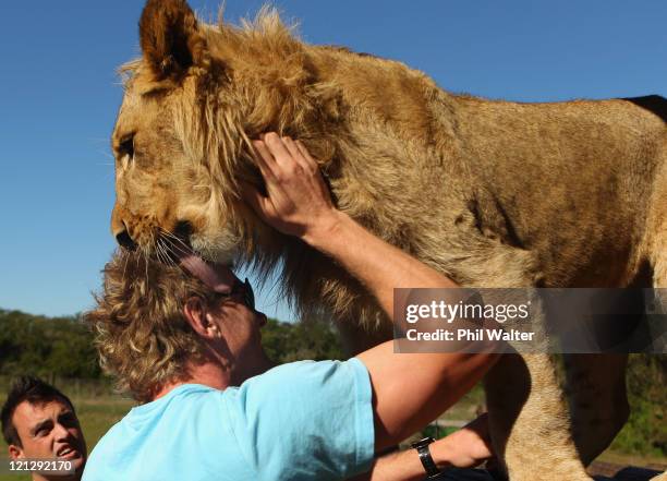 Adam Thomson of the New Zealand All Blacks is licked by a Lion at the Seaview Lion Park on August 17, 2011 in Port Elizabeth, South Africa.