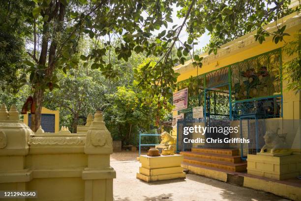 68 Thimmamma Marrimanu Stock Photos, HighRes Pictures, and Images