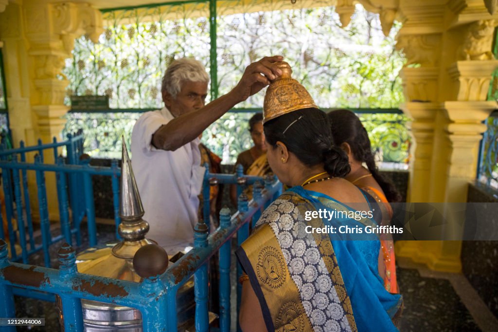 Thimmamma Marrimanu, Andhra Pradesh, India