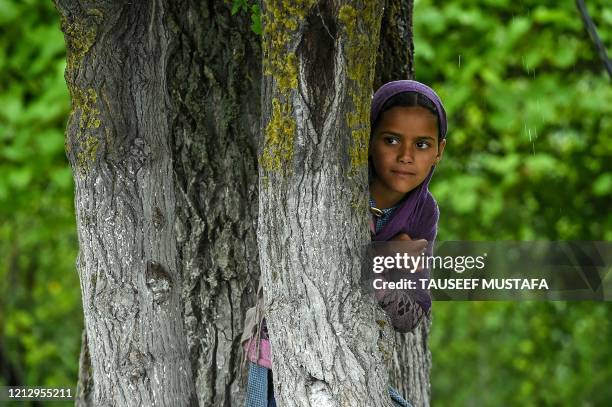 Nomad girl watches over goats on the banks of the Dal Lake during a rainfall in Srinagar on May 14, 2020.