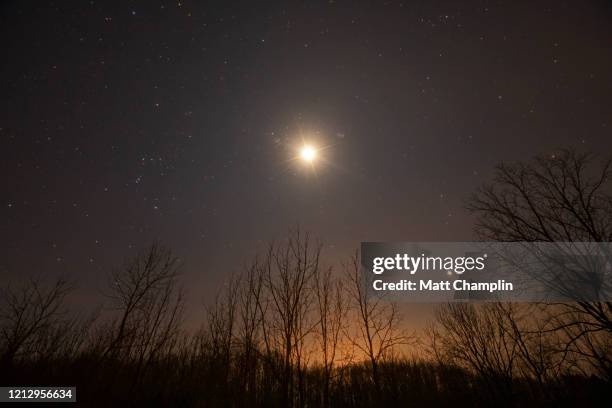 looking up at the moon, venus, and orion in winter - 金星 ストックフォトと画像