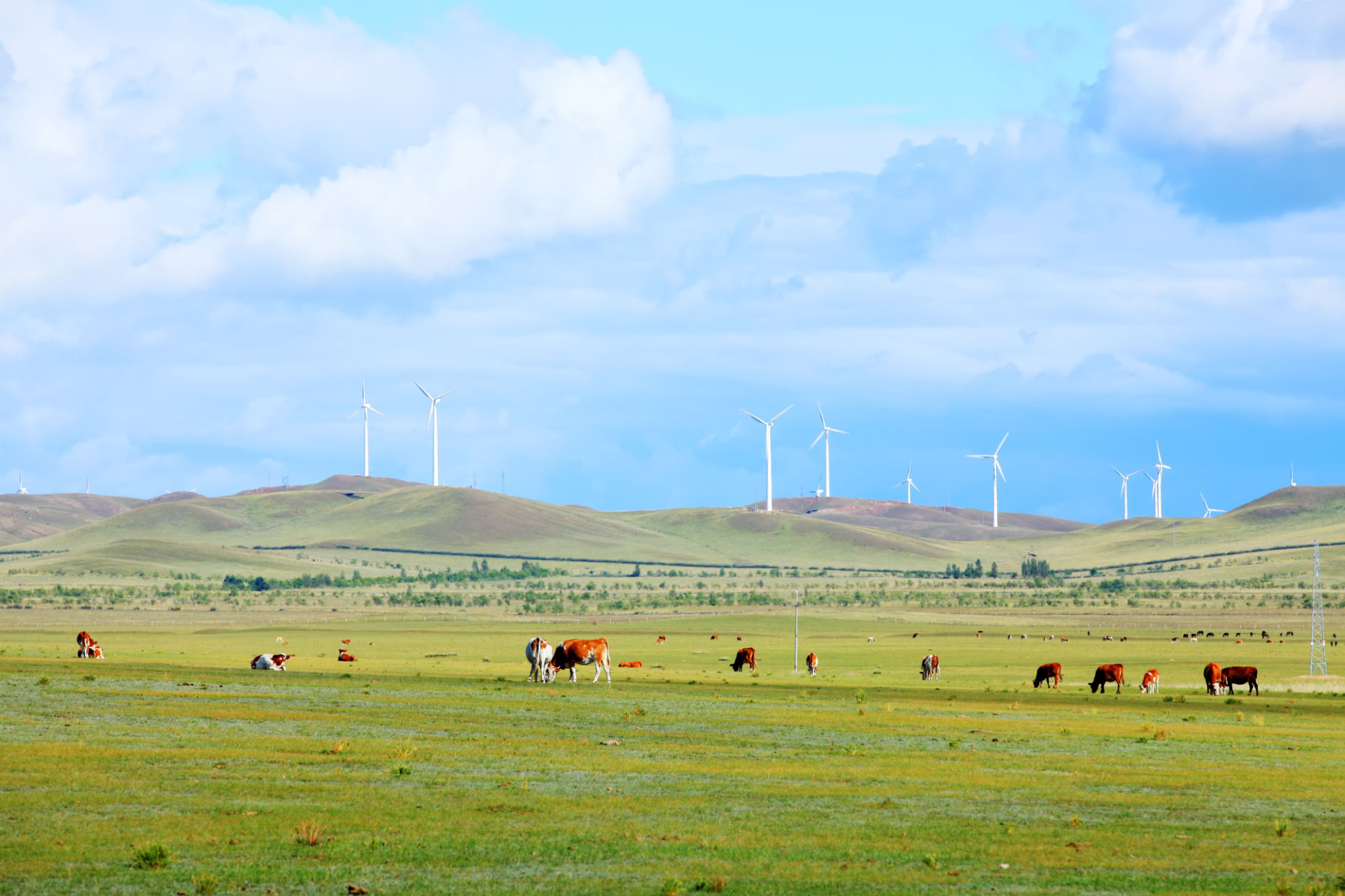 rotational grazing