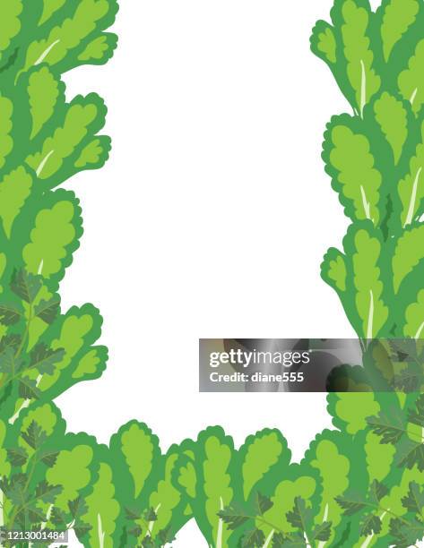 salad vegetable border - romaine lettuce stock illustrations