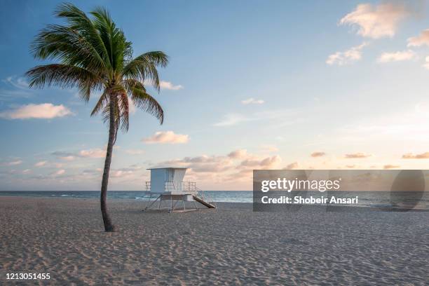 sunrise at the fort lauderdale beach, florida - fort lauderdale florida fotografías e imágenes de stock