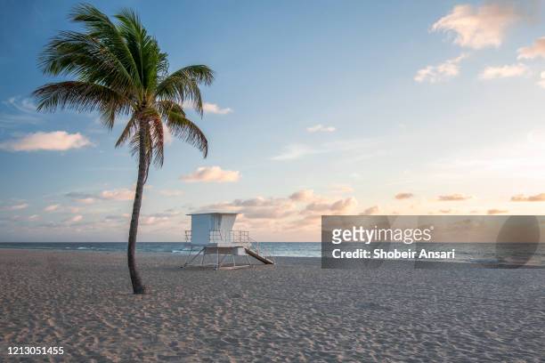 sunrise at the fort lauderdale beach, florida - lifeguard tower bildbanksfoton och bilder
