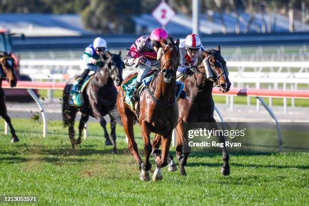 Paddy Mac ridden by Brad Rawiller wins the Viva Energy Australia BM58 Handicap at Geelong Racecourse on May 15, 2020 in Geelong, Australia.