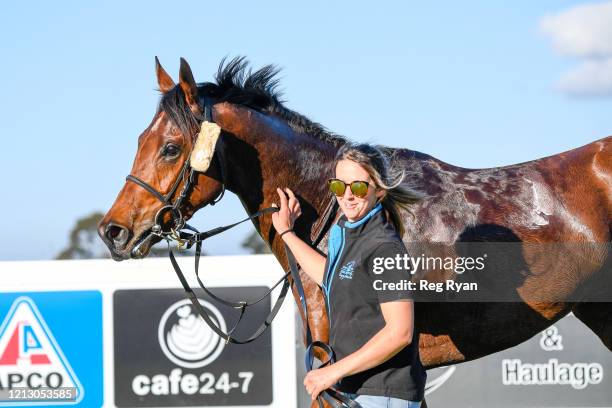 Paddy Mac after winning the Viva Energy Australia BM58 Handicap, at Geelong Racecourse on May 15, 2020 in Geelong, Australia.