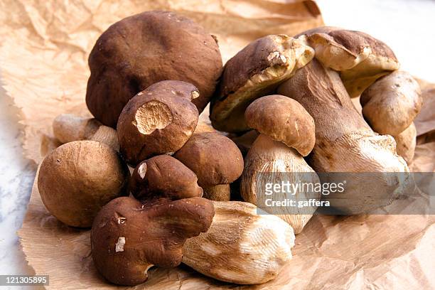 a pile of porcini mushrooms on a brown crumpled paper - porcini mushroom stock pictures, royalty-free photos & images