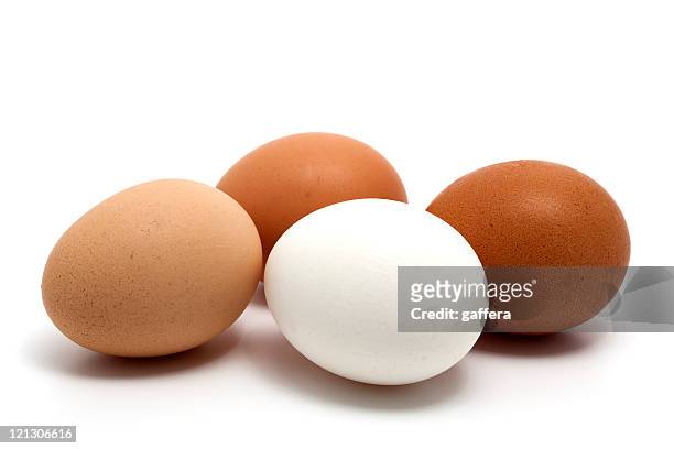 four eggs in all the possible different colors - ägg bildbanksfoton och bilder
