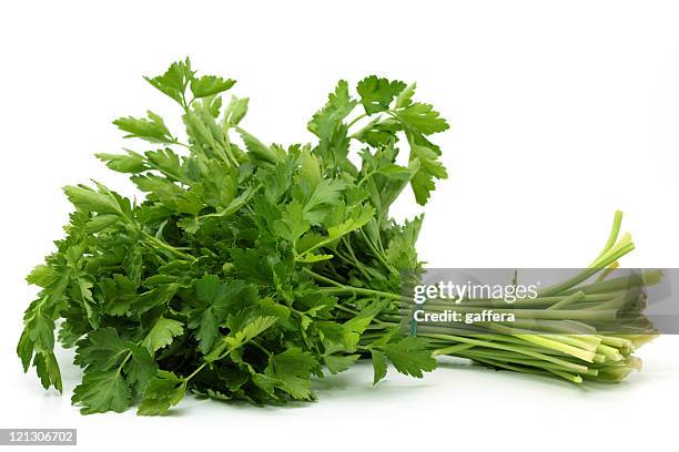 italian parsley - flat leaf parsley stock pictures, royalty-free photos & images