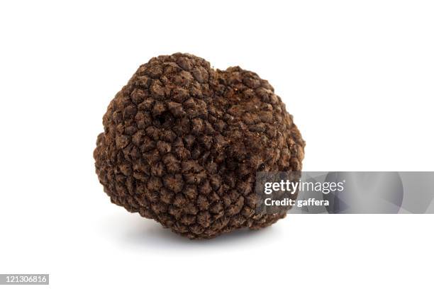 black truffle - mushroom isolated stock pictures, royalty-free photos & images