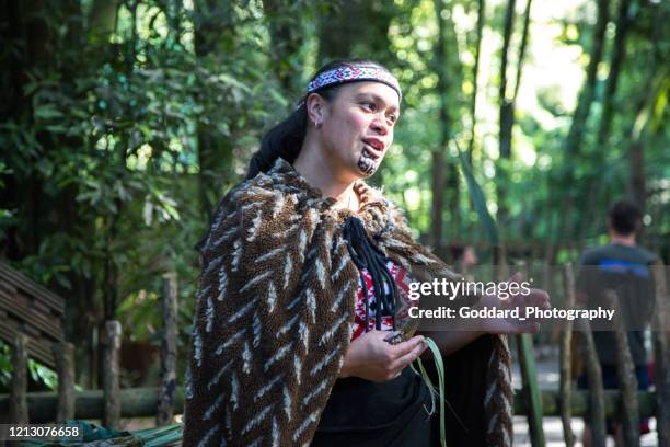 nieuw-zeeland: maori tradities - maori stockfoto's en -beelden