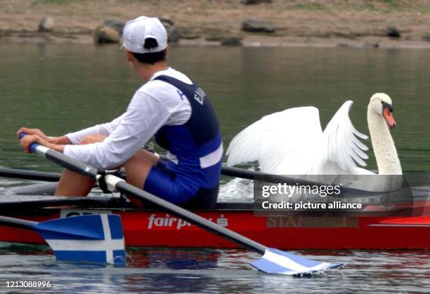 81 Rudern Ruderer Rower Stock Photos, High-Res Pictures, and Images ...