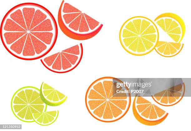 citrus fruit slices - orange fruit stock illustrations