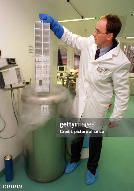 Kai Pohlmeyer, Molekularbiologe bei der Strathmann Biotech AG im Hamburger Stadtteil Niendorf, taucht am 26.1.2000 eine Zellkultur in einem...