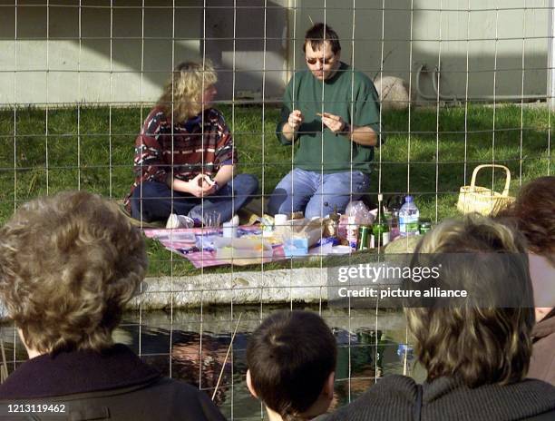 Durch den Zaun eines Raubtiergeheges beobachten Besucher des Karlsruher Zoos am 5.2.2000 Darsteller der Karlsruher Hochschule für Gestaltung , die im...