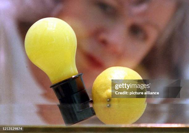 Das Mini-Kunstwerk "Capri-Batterie" von Joseph Beuys, künstlerisches Aushängeschild Nordrhein- Westfalens auf der Expo in Hannover, soll nach dem...