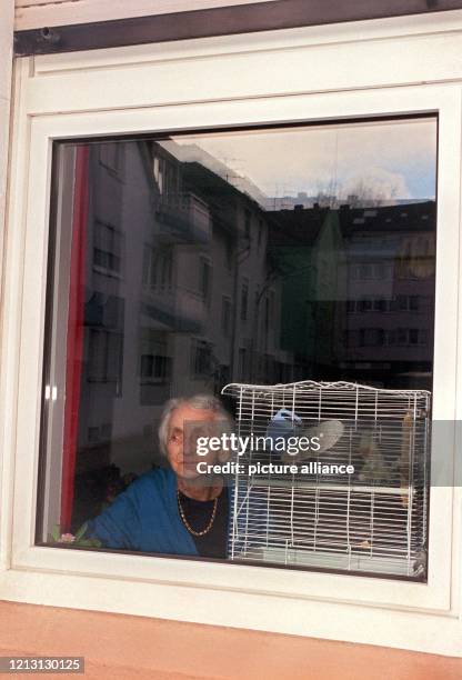 Elisabeth Schneider sitzt an einem Fenster in ihrer Zweizimmerwohnung in Alt-Saarbrücken, neben ihr im Käfig Hänsje, ihr Kanarienvogel. Frau...