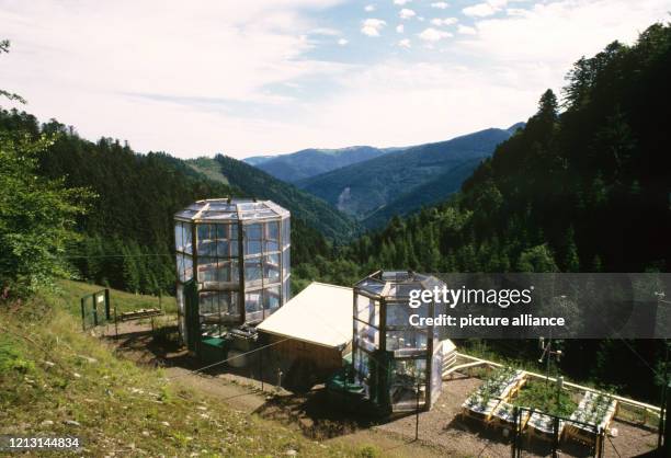 Mit Klimakammern will man im Münstertal im Schwarzwald die Ursachen des Waldsterbens erforschen. Die Tannen wachsen in Glaskammern unter idealen...