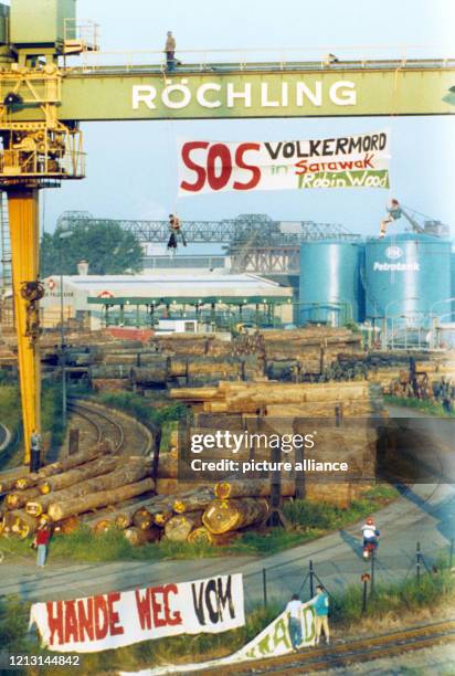 Mitglieder von Robin Wood befestigen ihre Transparente an einem Verladekran und an einem Zaun im Holzhafen von Bremen am . Mitglieder der...