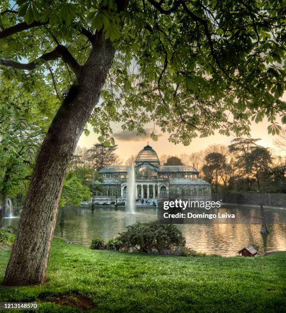 sunset at the crystal palace, buen retiro park. madrid spain - palace ballroom foto e immagini stock