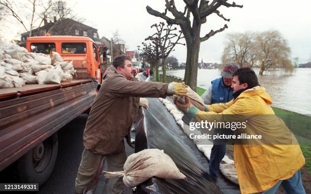 Mit Sandsäcken belegen Helfer den Hochwasserschutzwall aus Euro-Paletten und Plastikfolie am 22. Februar 1999 in Köln-Rodenkirchen. Bis zu einem...