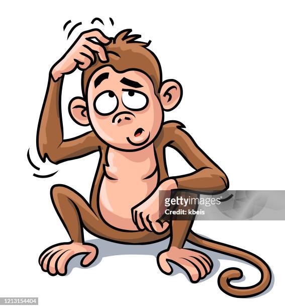 Monkey Scratching Its Head High-Res Vector Graphic - Getty Images
